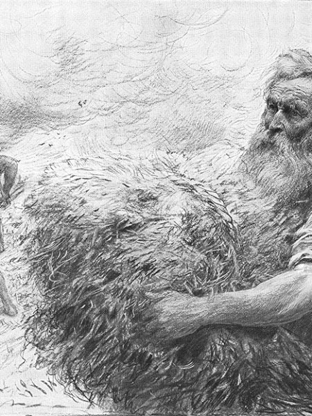The Patience of the&nbsp;Sower