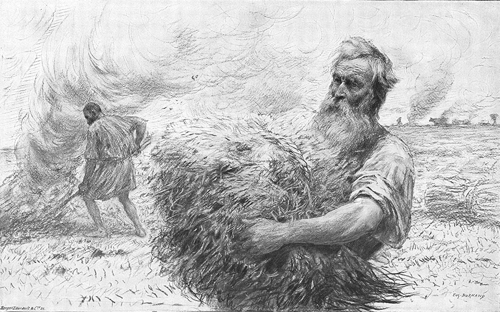 The Patience of the&nbsp;Sower